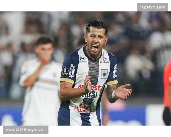 解放者杯决赛期间,游客在利马人均消费预计超千美元